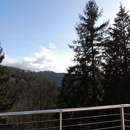 Gite Esperanza Spa Et Sauna Haselbourg Exterior foto